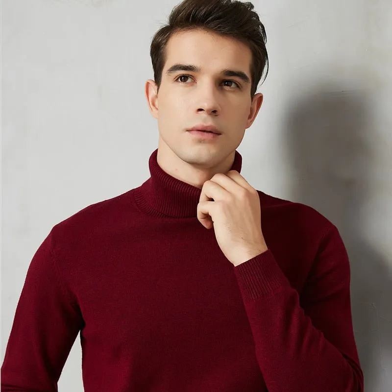 Handsome 8 Color Turtleneck Sweater