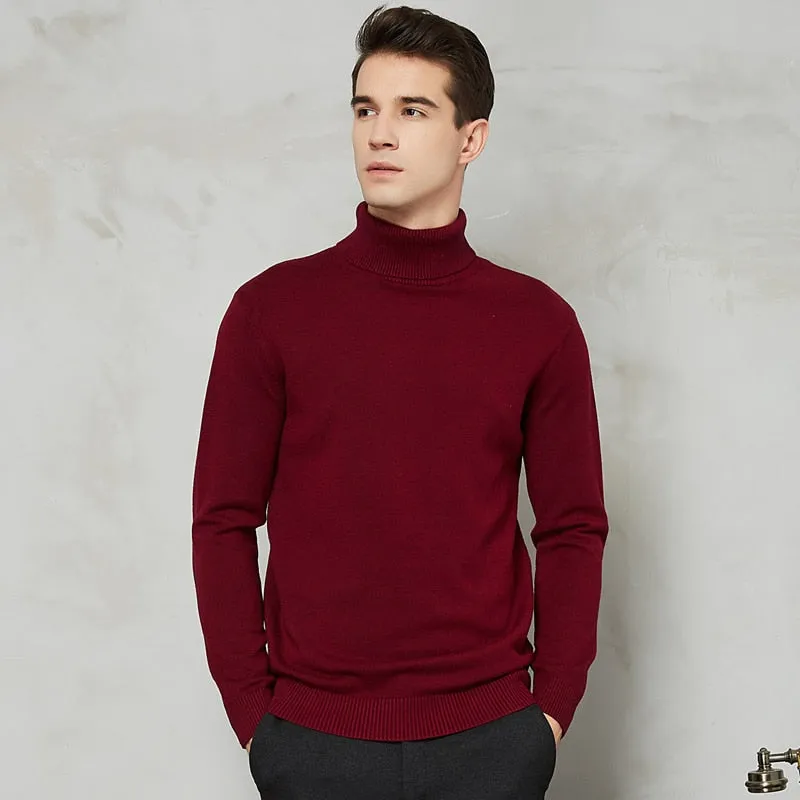 Handsome 8 Color Turtleneck Sweater