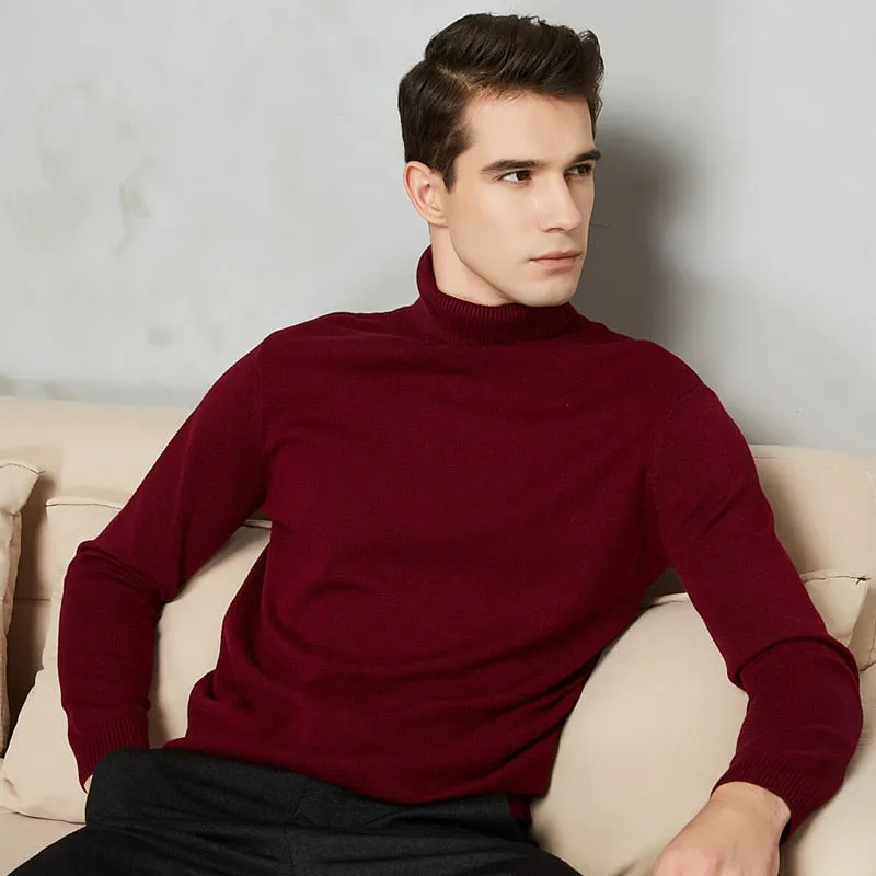 Handsome 8 Color Turtleneck Sweater