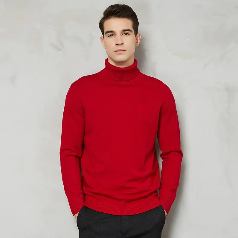 Handsome 8 Color Turtleneck Sweater