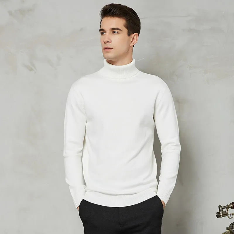 Handsome 8 Color Turtleneck Sweater