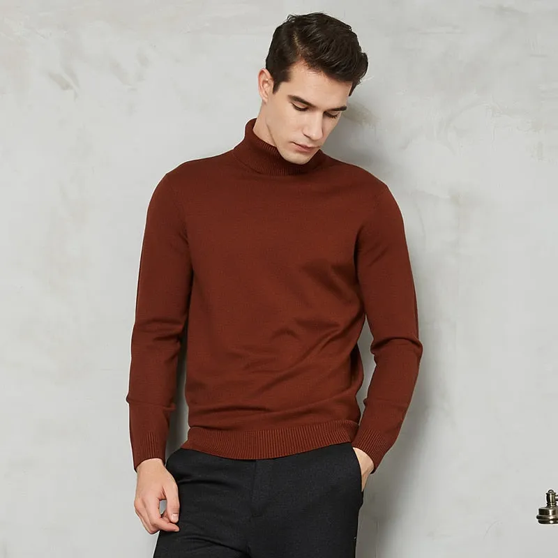 Handsome 8 Color Turtleneck Sweater