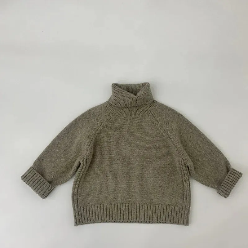 Solid Turtleneck Sweater