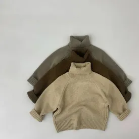 Solid Turtleneck Sweater