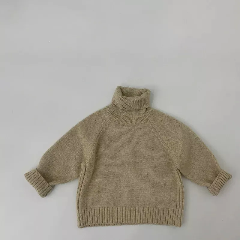 Solid Turtleneck Sweater